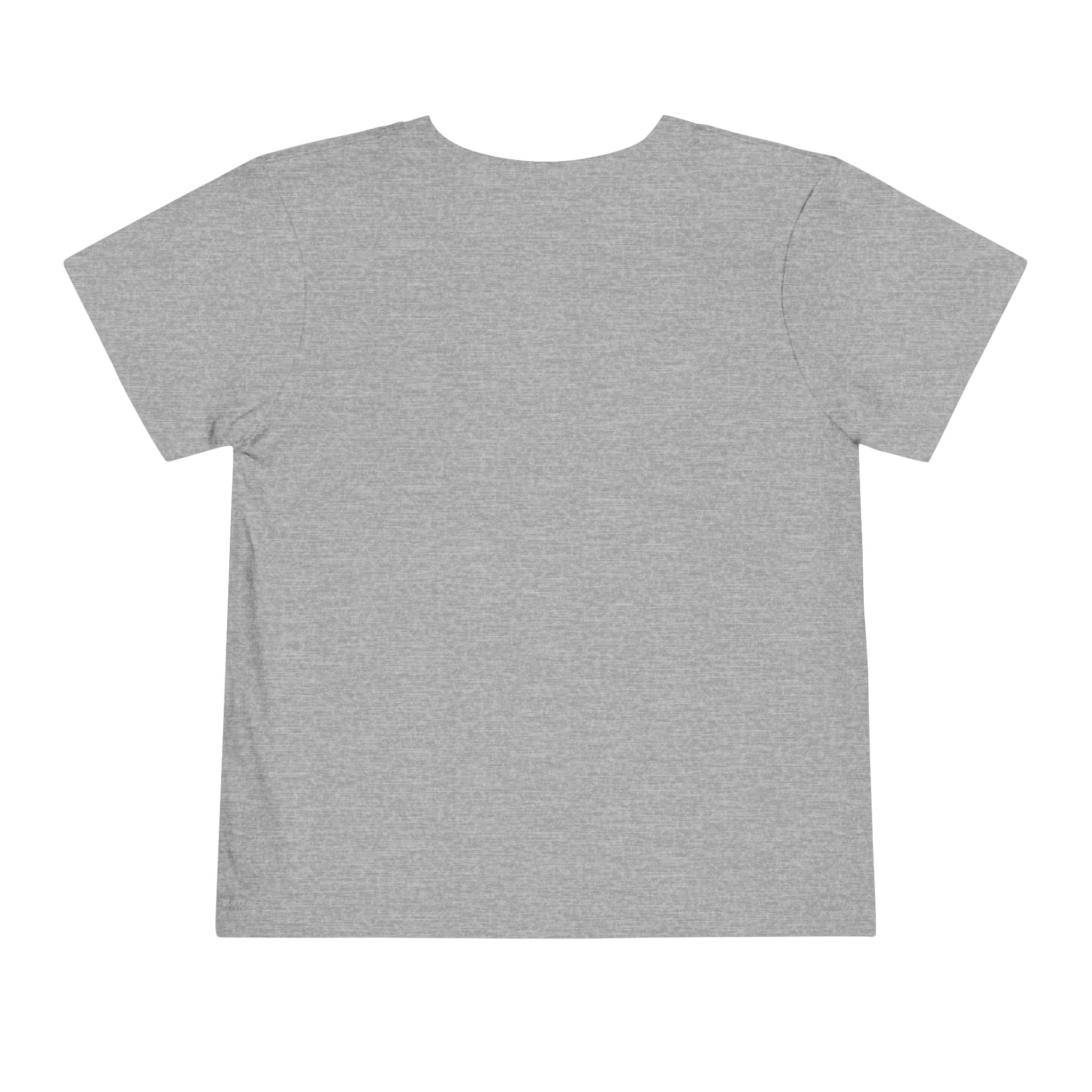 Toddler Tee — Flying Mallard Duck Graphic