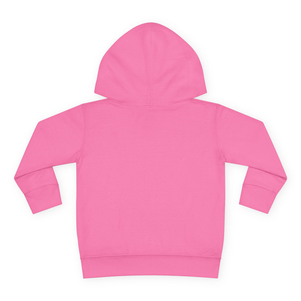 Pre-K Toddler Hoodie — Colorful School Kids Pullover Fleece