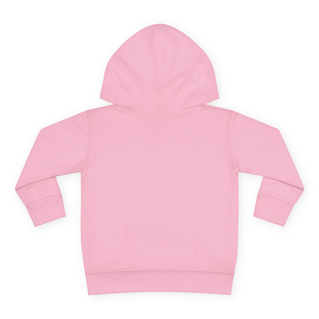 Pre-K Toddler Hoodie — Colorful School Kids Pullover Fleece