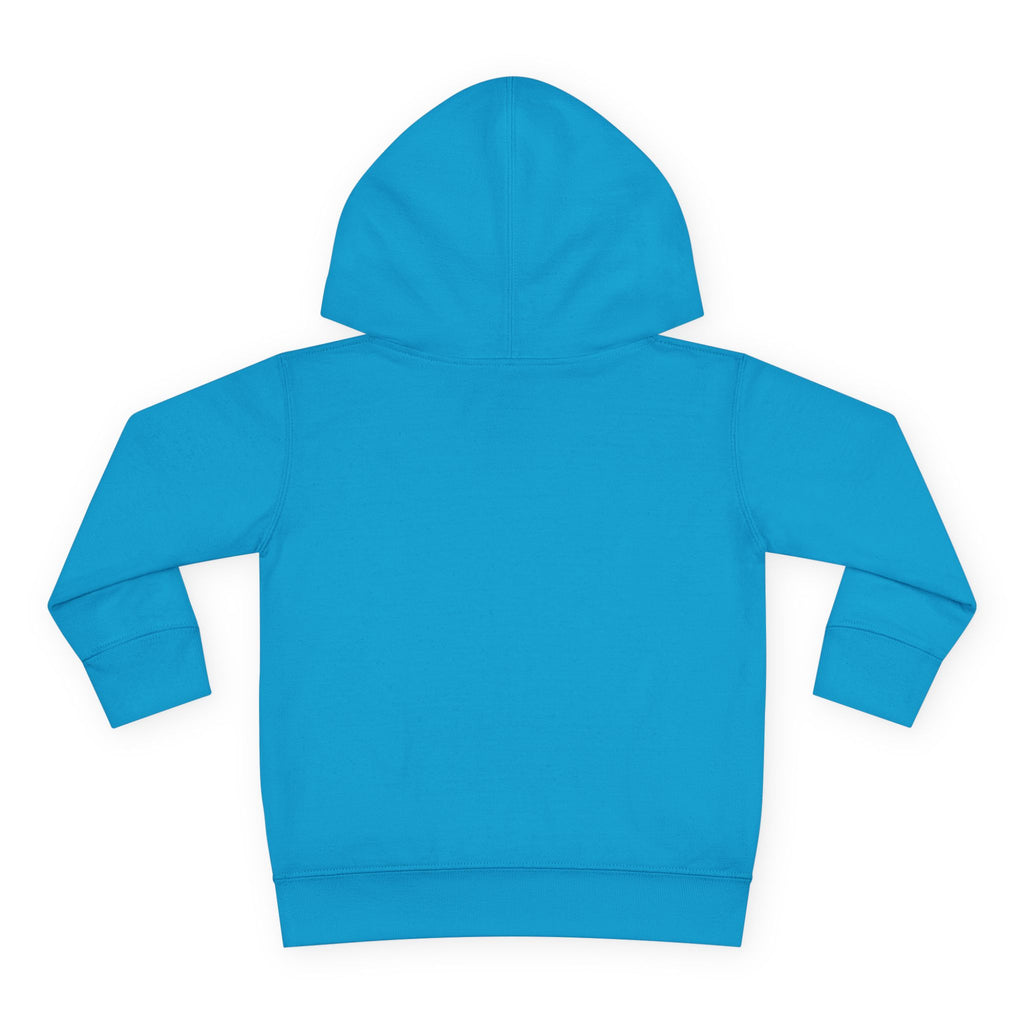 Pre-K Toddler Hoodie — Colorful School Kids Pullover Fleece