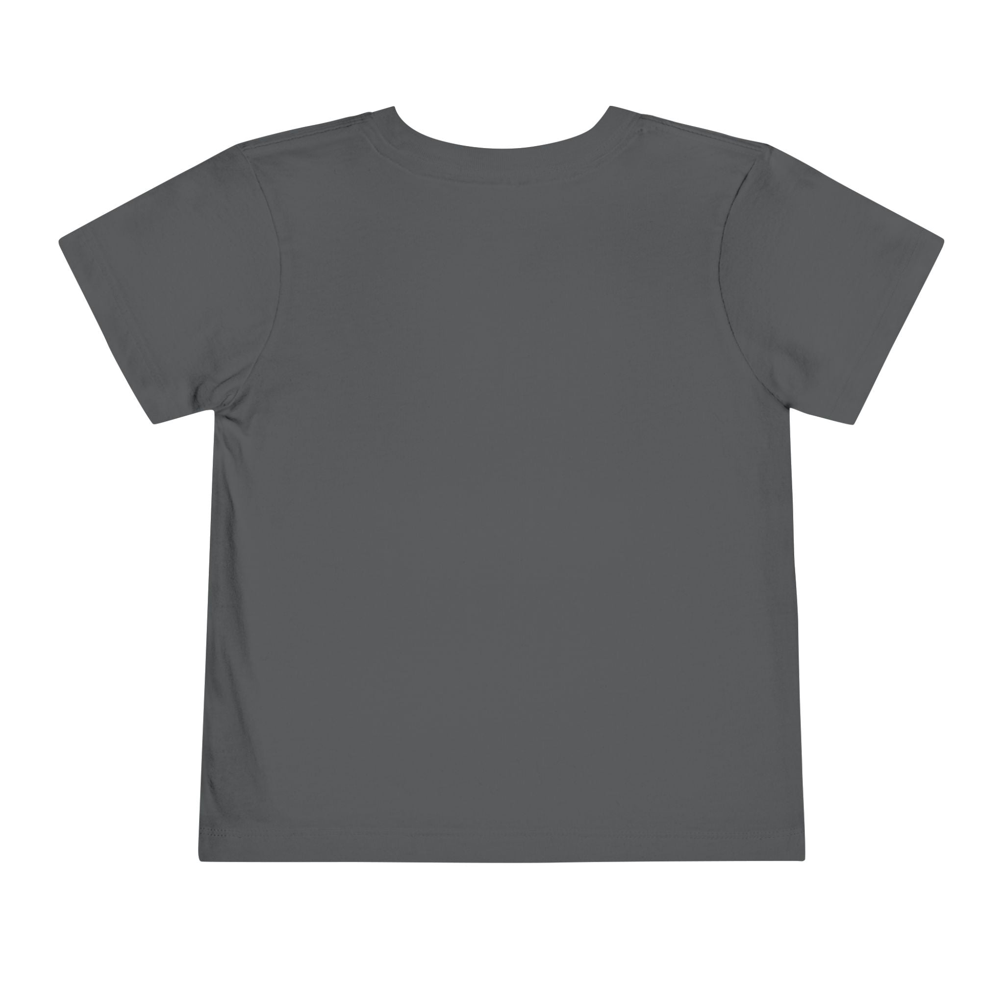 Toddler Tee — Flying Mallard Duck Graphic