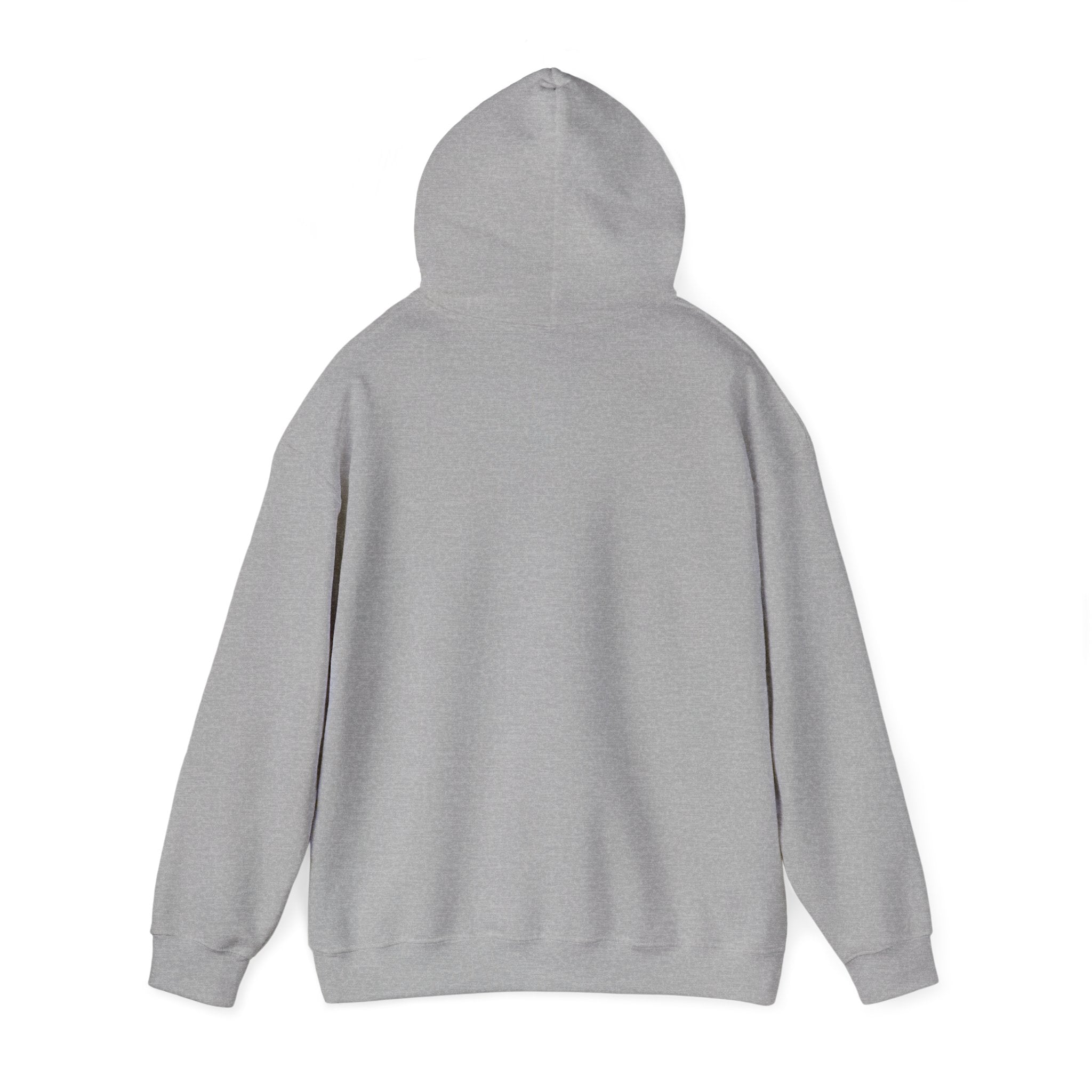 Bears Graphic Hoodie — Fierce Bear Mascot Sweatshirt