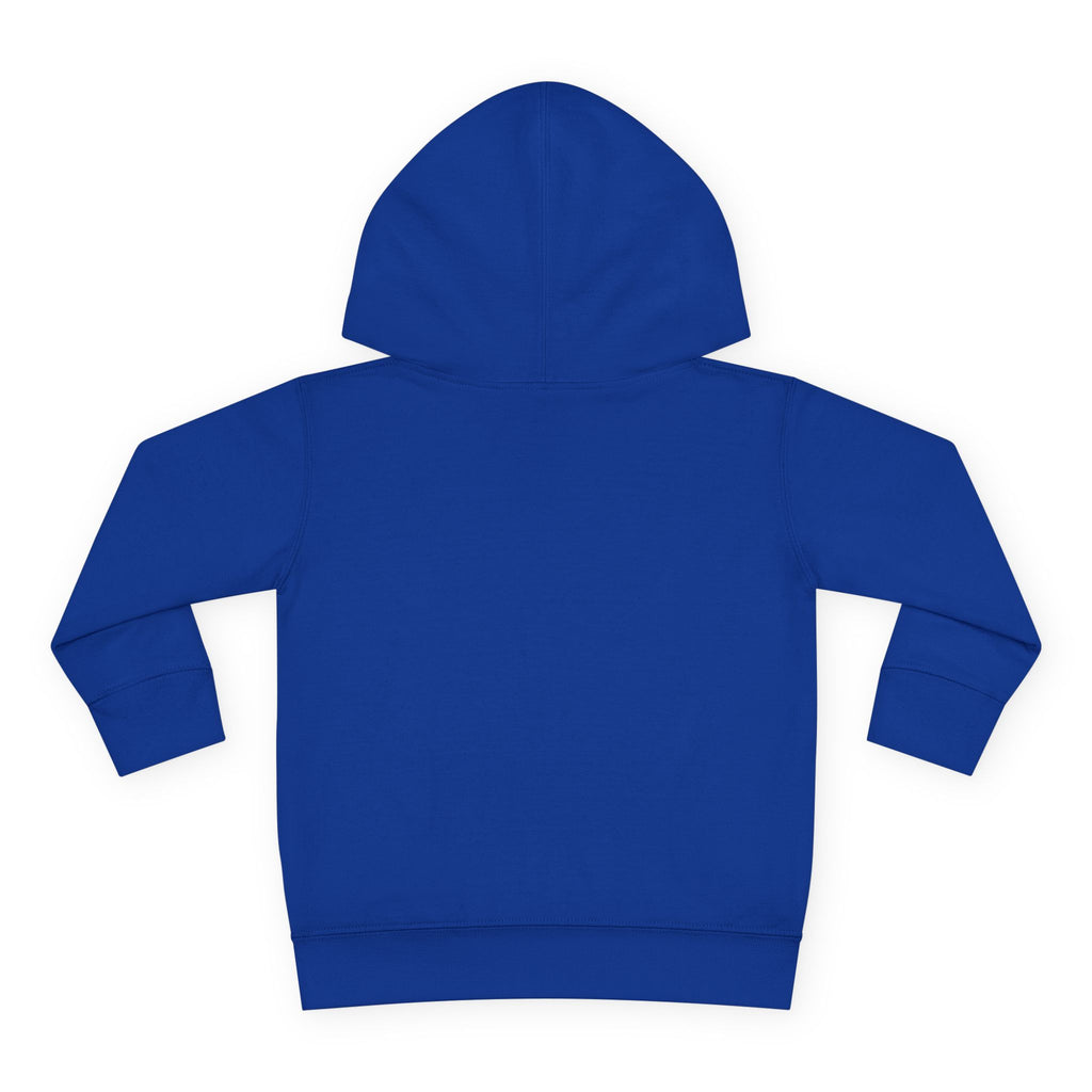 Pre-K Toddler Hoodie — Colorful School Kids Pullover Fleece