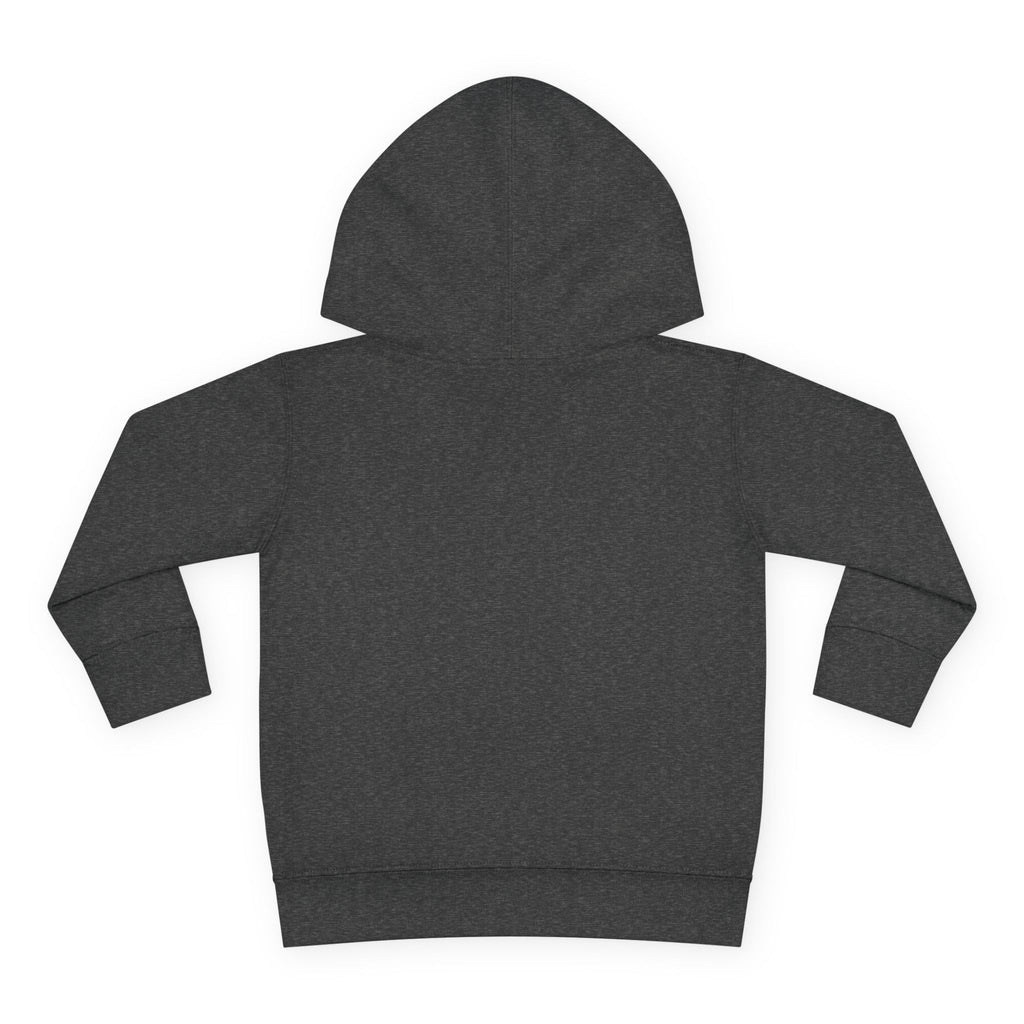Pre-K Toddler Hoodie — Colorful School Kids Pullover Fleece