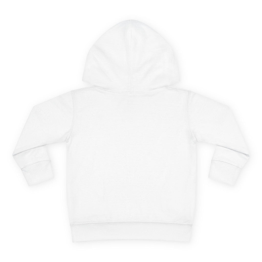 Pre-K Toddler Hoodie — Colorful School Kids Pullover Fleece