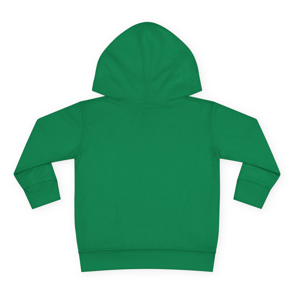 Pre-K Toddler Hoodie — Colorful School Kids Pullover Fleece