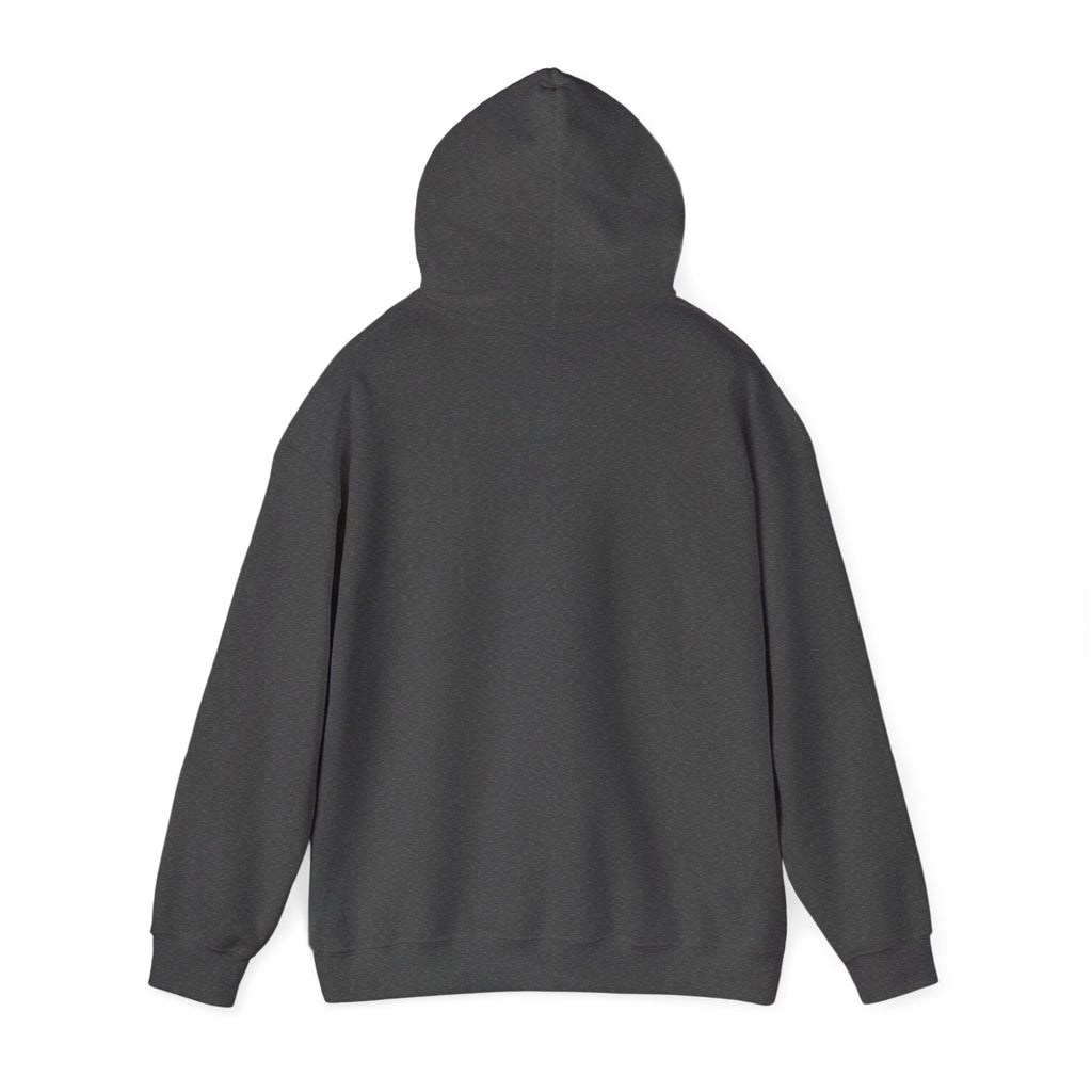 Bears Graphic Hoodie — Fierce Bear Mascot Sweatshirt