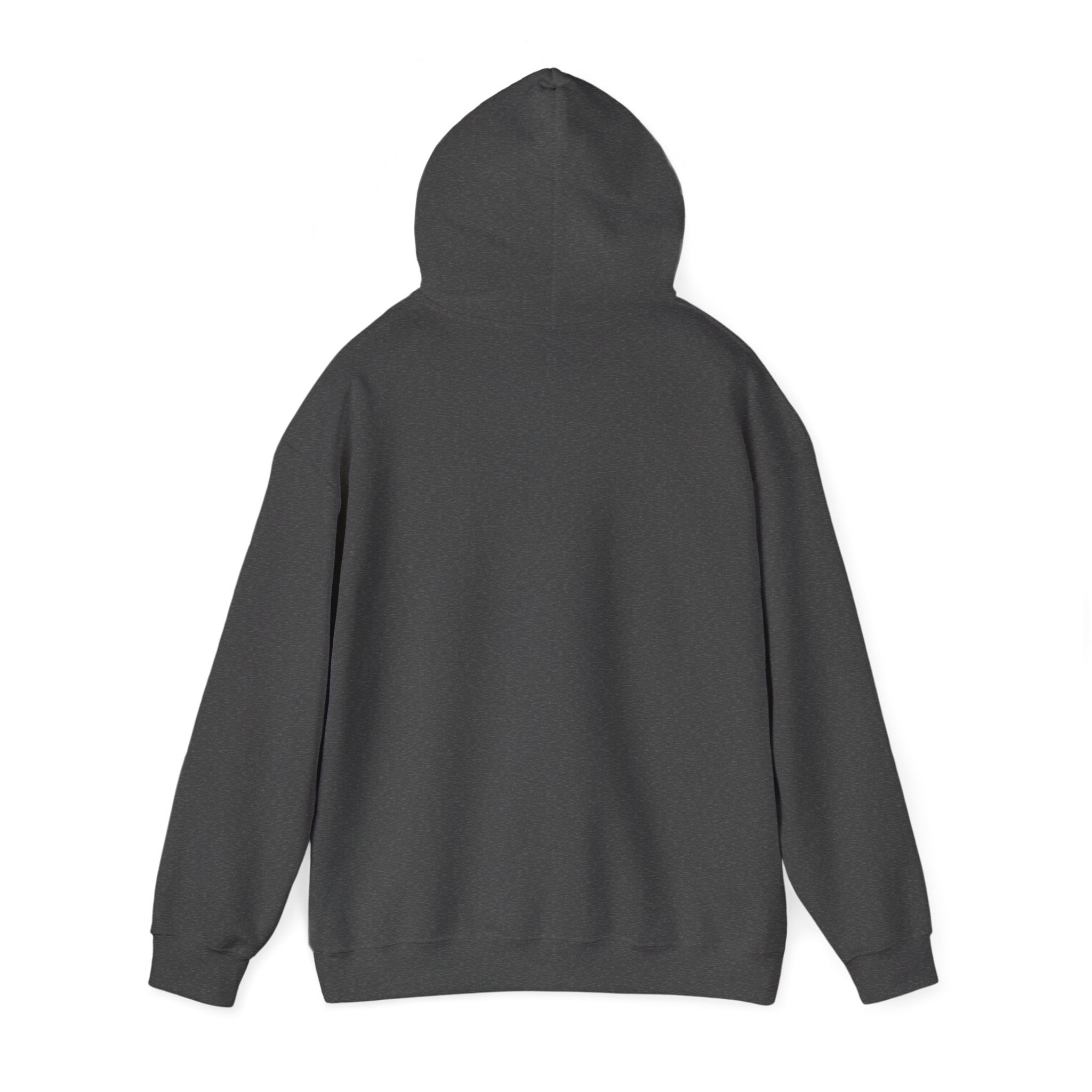 Bears Graphic Hoodie — Fierce Bear Mascot Sweatshirt