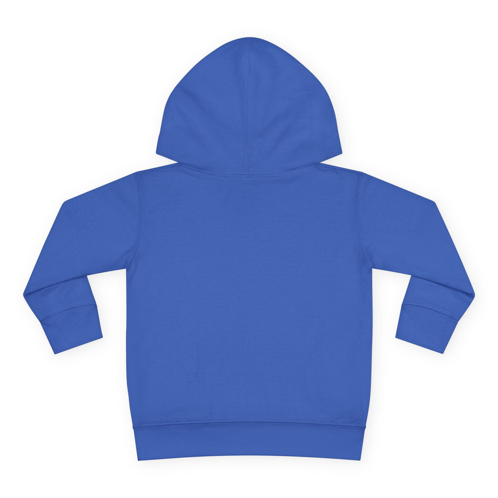 Pre-K Toddler Hoodie — Colorful School Kids Pullover Fleece