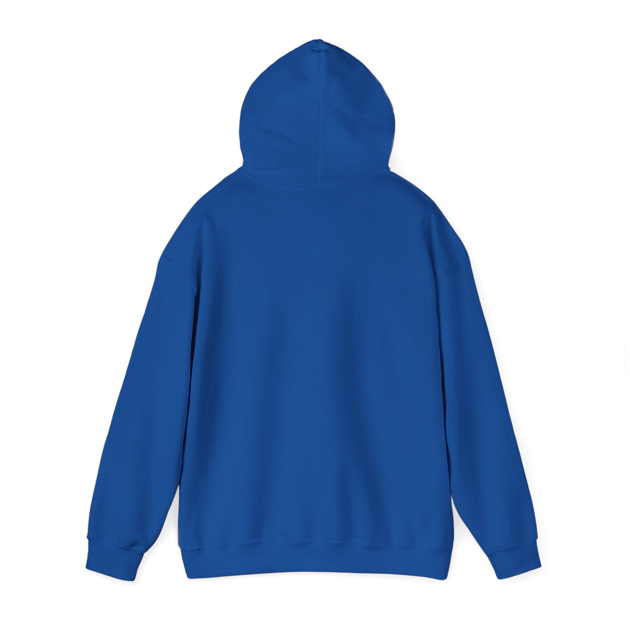 Bears Graphic Hoodie — Fierce Bear Mascot Sweatshirt