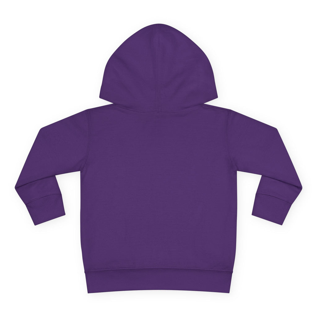Pre-K Toddler Hoodie — Colorful School Kids Pullover Fleece