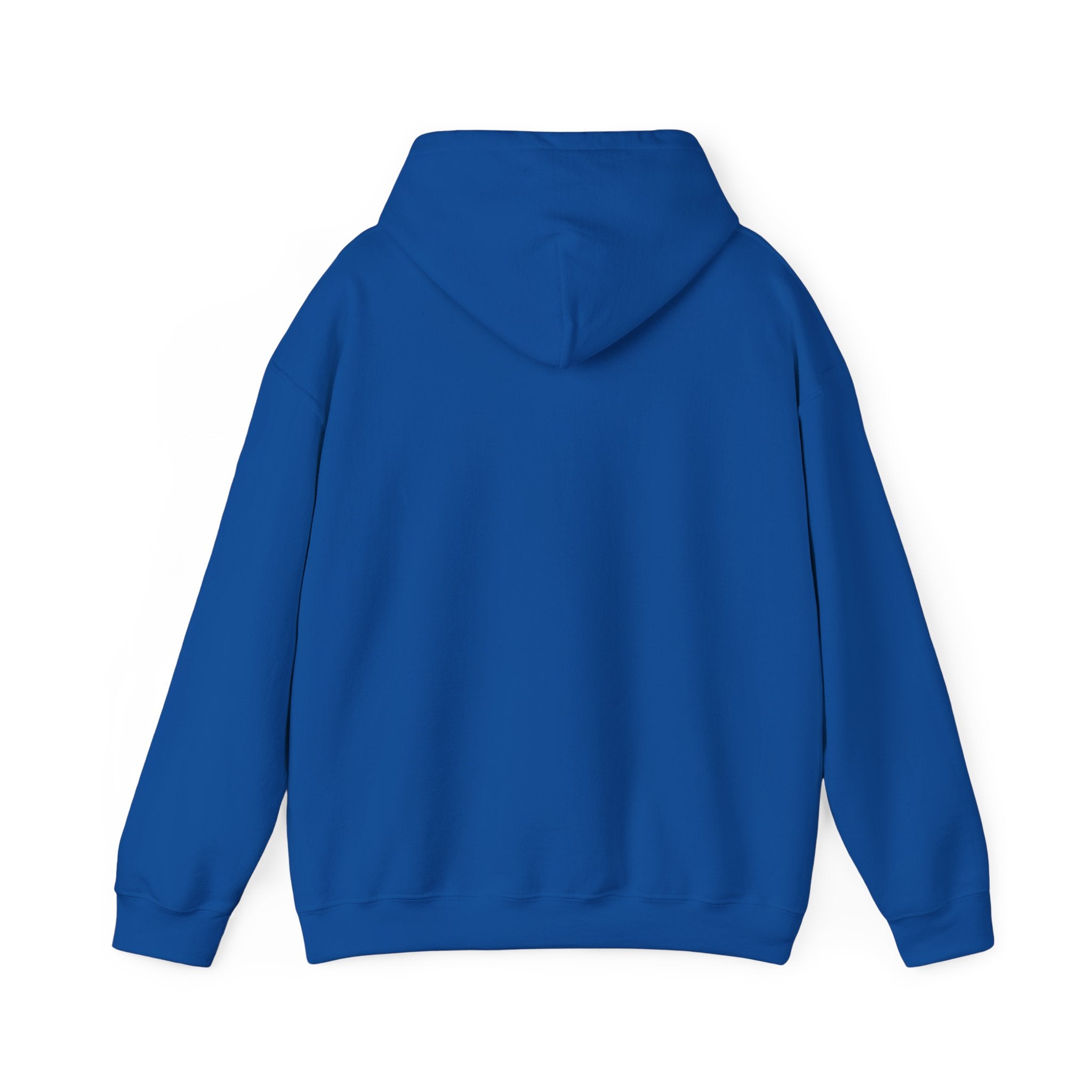 Bears Graphic Hoodie — Fierce Bear Mascot Sweatshirt