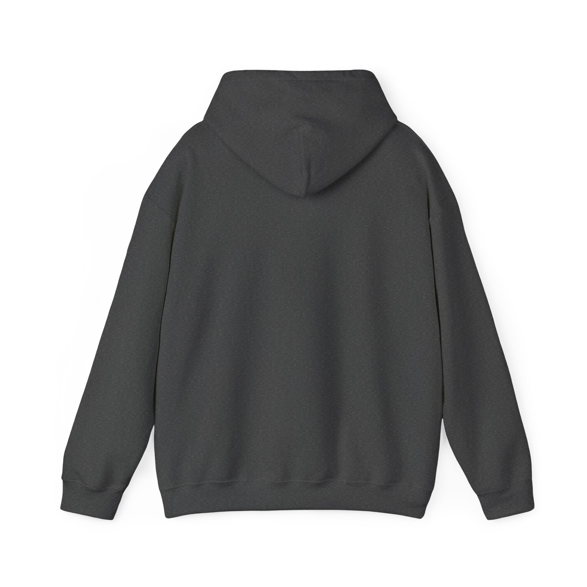 Bears Graphic Hoodie — Fierce Bear Mascot Sweatshirt