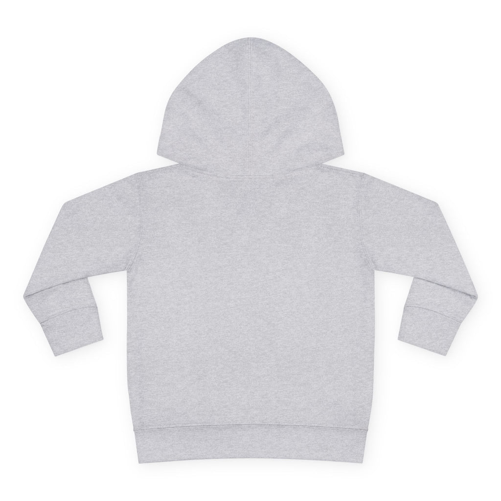 Pre-K Toddler Hoodie — Colorful School Kids Pullover Fleece